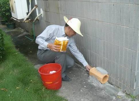 如何安全使用老鼠药
