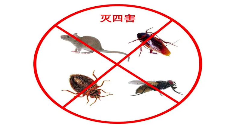 截屏2024-05-31 下午4.25.46.png